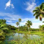 jardin-eau-vaipahi-tour-tahiti-avis-location-voiture-voyage (1)